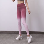 Women's Seamless Sportswear High Waist Yoga Set