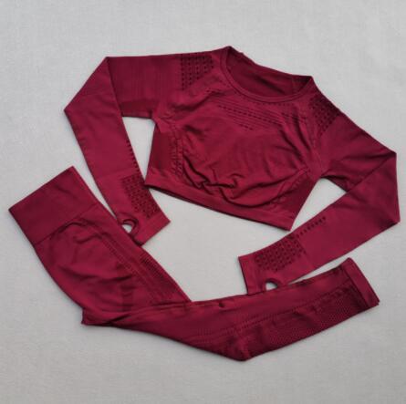 Women Dry Fit Workout Sportswear Yoga Set