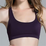 Women's Fitness Energy Seamless Bra